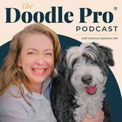 Why Does My Goldendoodle Bark at Me? Demand Barking Explained (Kristi Benson)