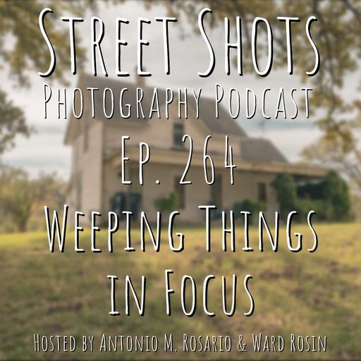 Weeping Things in Focus