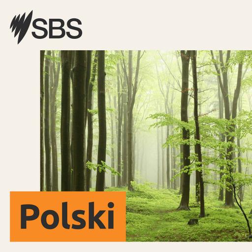 How laws are made, and how they affect you | How Australia Works - Jak ustanawiane jest prawo i jaki ma na Ciebie wpływ? Jak działa Australia?