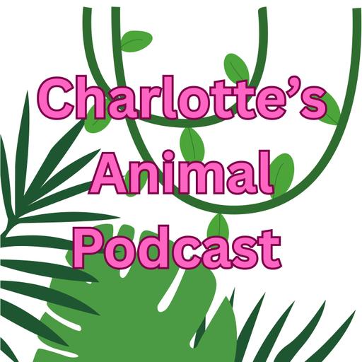BONUS EPISODE: Charlotte's Animal Podcast