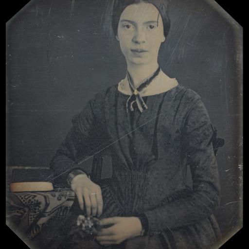 Emily Dickinson’s “A Thunderstorm”