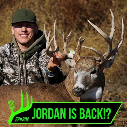 802 Jordan's Back!?