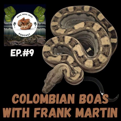 Colombian Boas with Frank Martin
