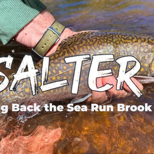 Salters: Bringing Back the Sea-Run Brook Trout with Tom Pero and Francis Smith