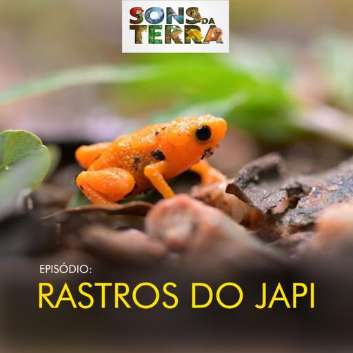 Bichos da Serra do Japi são revelados por câmeras na mata