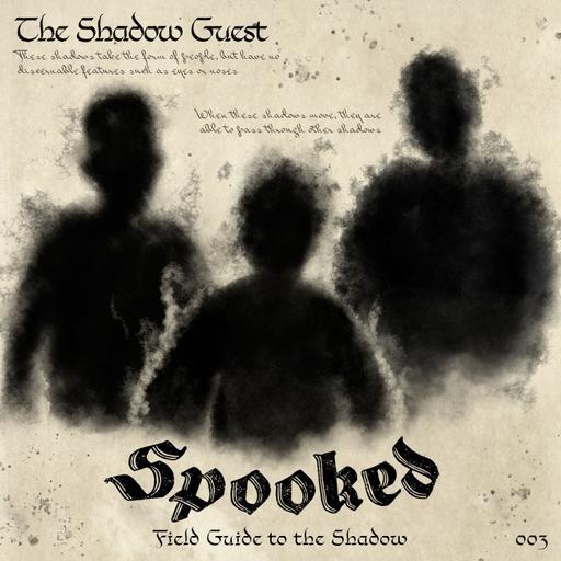 The Shadow Guest Pt. 1