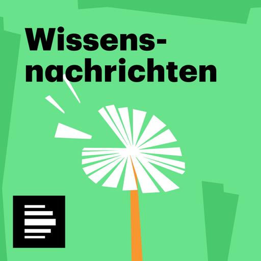 Veganer Honig, Natureinfluss, Schaltsekunde, Wohnen