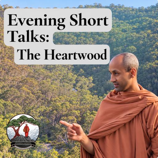Evening Short Talks: The Heartwood | Bhante Joe