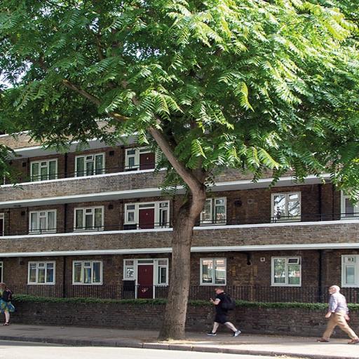 London street trees threatened by changing climate