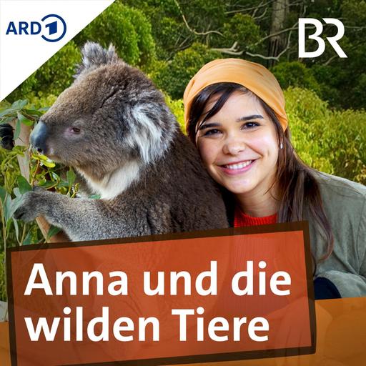 Anna macht eine Pause
