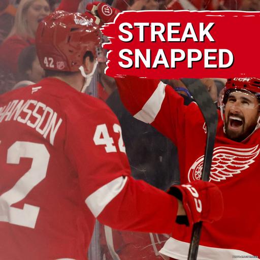 POINT STREAK: Anton Johansson's 1st NHL goal helps turn Detroit's losing streak into a point streak