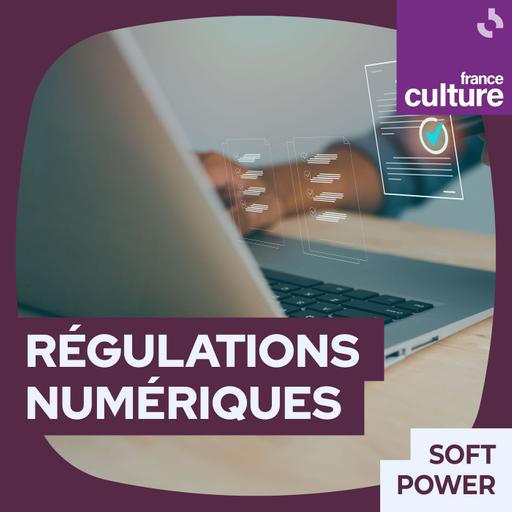 Émeutes urbaines, numériques et ingérences étrangères