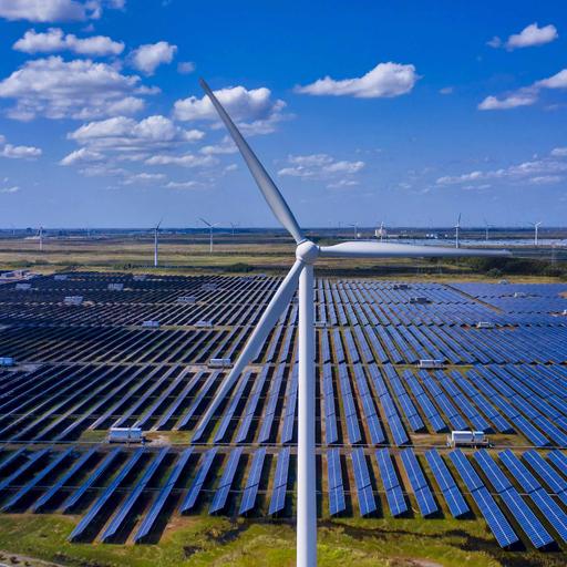 What China's solar panel obsession means for the world