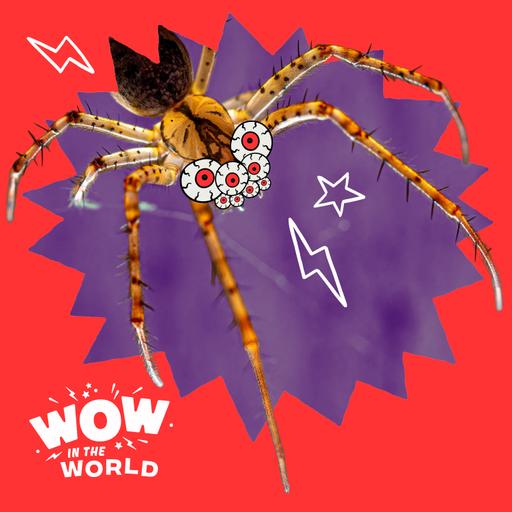 Undead Arachnids! Meet the “Zombie" Spider Scaring Away its Predators!