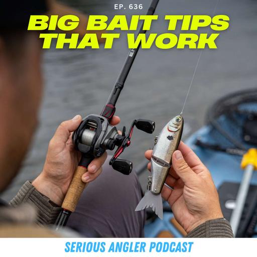 Glide Bait Fishing Explained by the Experts (Catch Bigger Bass)
