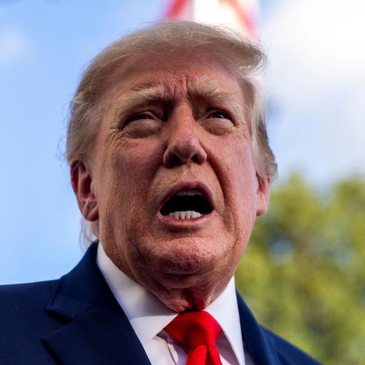 Special Episode: Decoding US midterms jargon