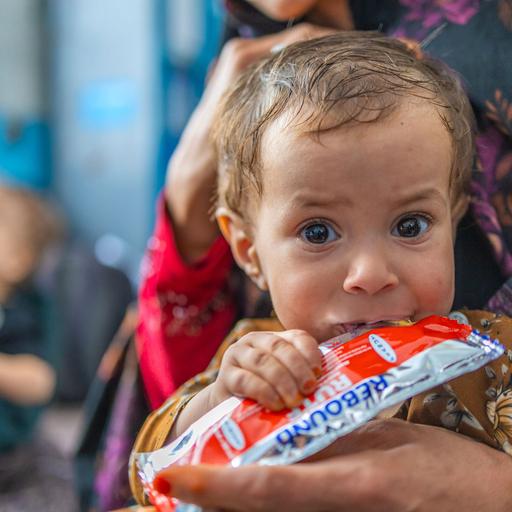 Quase 20 milhões de afegãos enfrentarão insegurança alimentar aguda