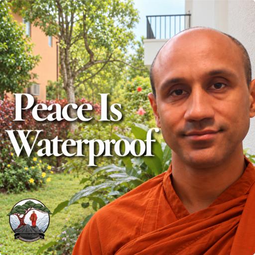 Sunshine, Storms, and the Search for Lasting Peace | Bhante Joe
