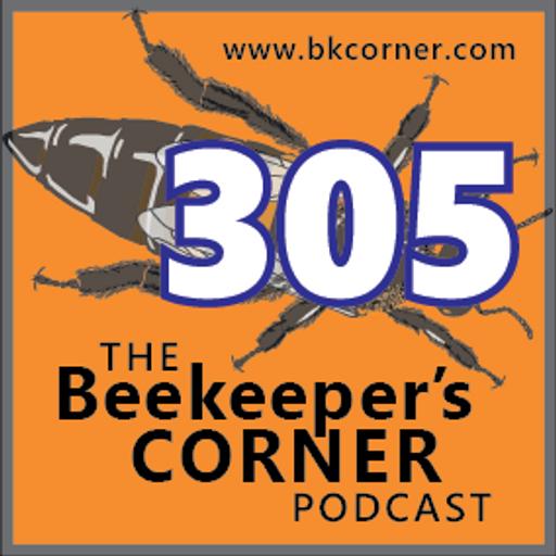 BKCorner Episode 305 - Tepid Frenzy