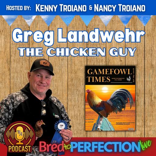 Ep308 - Preserving the Legacy of American Games with Greg Landwehr