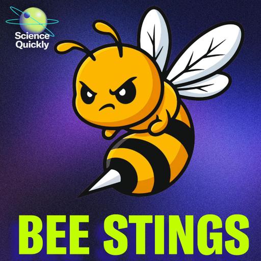 Bee stingers, plastic risks and ovarian surprises