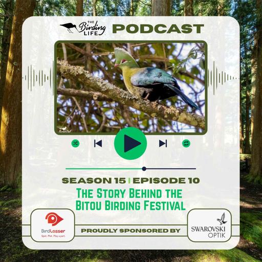 TBL Podcast - Season 15 Episode 10 - The Story Behind the Bitou Birding Festival
