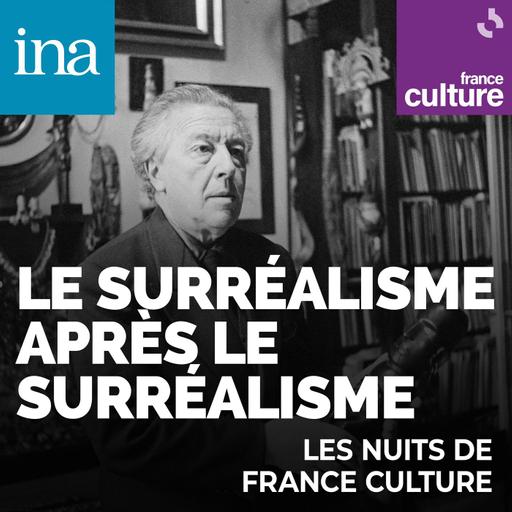 Le surréalisme après le surréalisme 7/10 : Alain Jouffroy : "Le surréalisme abolit l’idée de style unique et permet à chacun de trouver son langage"