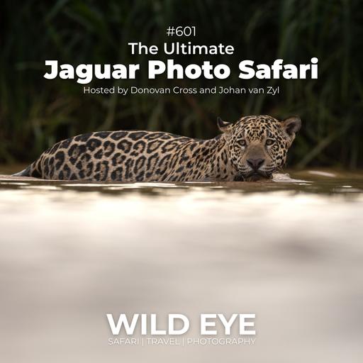 #601 - The Ultimate Jaguar Photo Safari