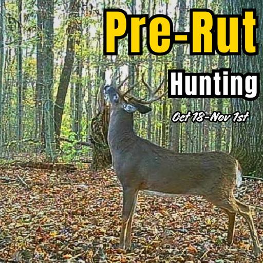 How to Hunt the Pre-Rut Oct 18-Nov 1: Access, Acorns & Scrapes