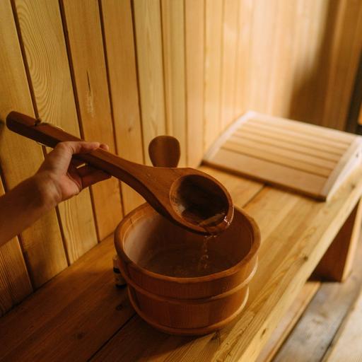 What the world's leading researchers think about saunas
