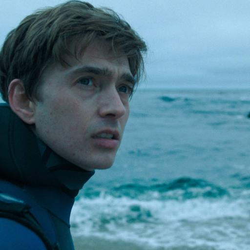 Whalefall and What's Making Us Happy