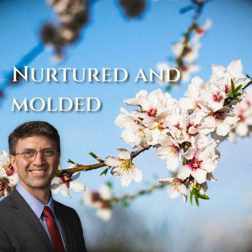 E66 Led, Nurtured and Molded: God pleading with Judah through Jeremiah (Jereimah 1-20)