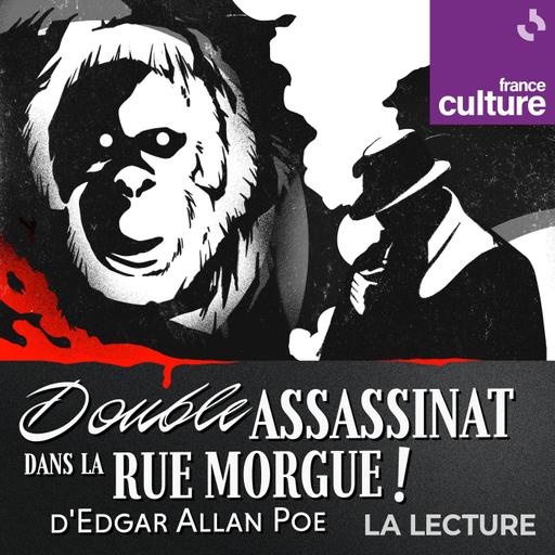 La Lecture de "Double assassinat dans la rue Morgue" d’Edgar Allan Poe 2/5 : Une étrange affaire