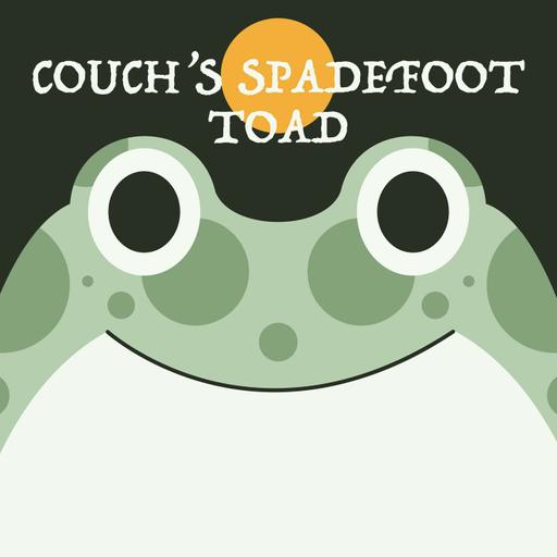 Couch's Spadefoot Toad | Week of OcTOADber 19th