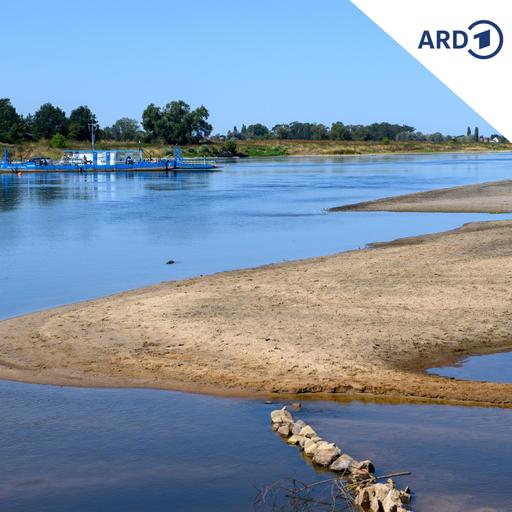 Immer noch zu wenig Wasser in der Elbe