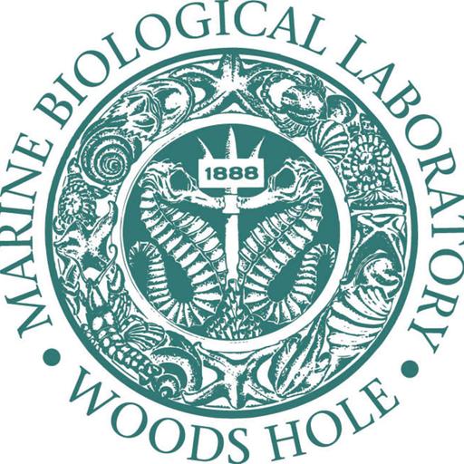 89 | Woods Hole Night Science!