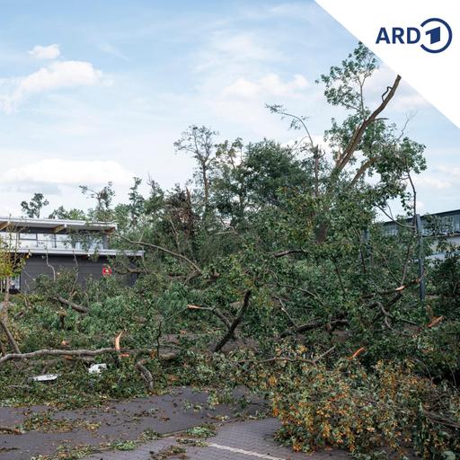 Stärkster Tornado Deutschlands 2026 in Thüringen