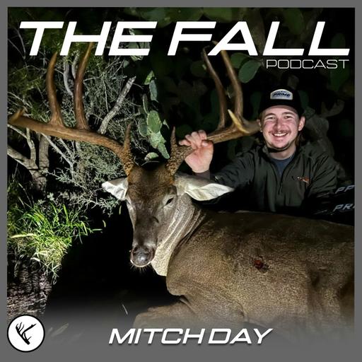 EP 539 | Trust the process. The Last 10 Days of October. W/ Mitch Day