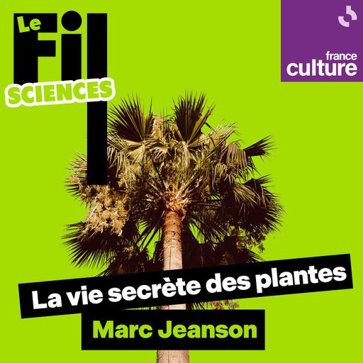 La vie secrète des plantes : Les palmiers, ces grandes herbes inventives