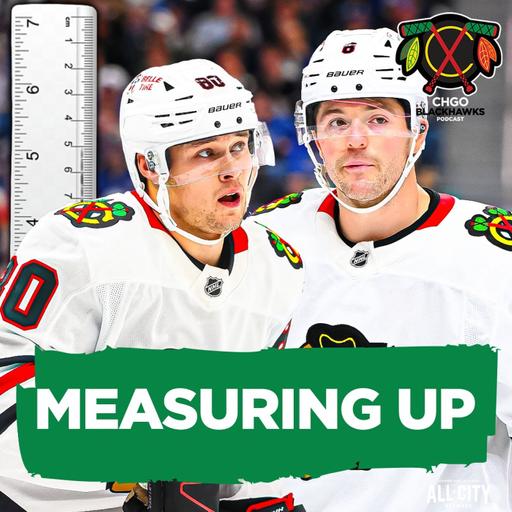 How Do the Chicago Blackhawks Rank in SIZE Compared to the Rest of the NHL? | CHGO Blackhawks