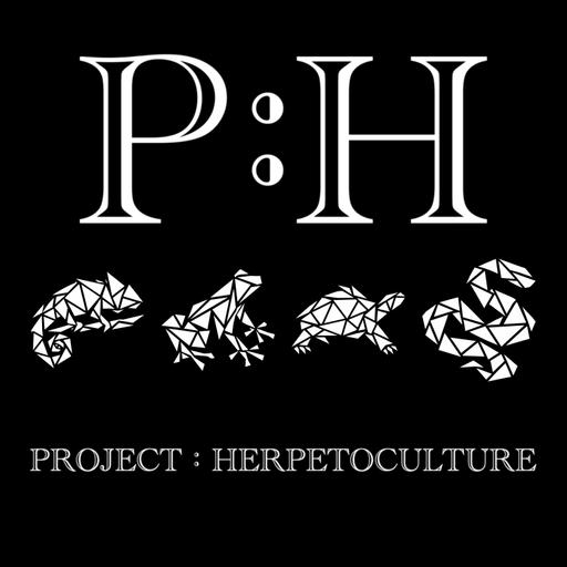 Turtles Hold Up the World | Matt Patterson | Project : Herpetoculture Ep. 104