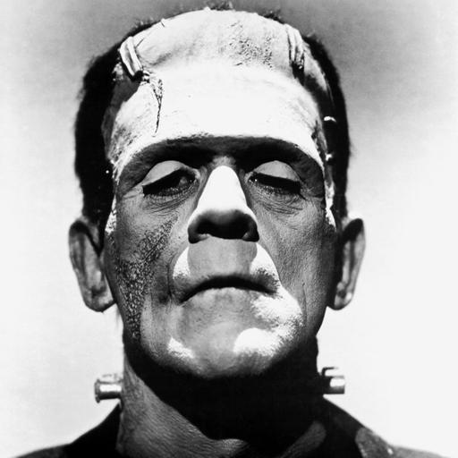 projektX221036 Frankenstein´s Monster