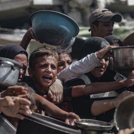 Relatora defende resgate da dignidade humana no combate à fome