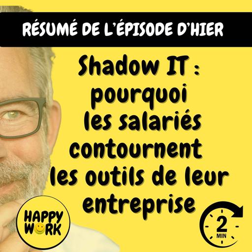 Résumé — Shadow IT : pourquoi les salariés contournent les outils de leur entreprise