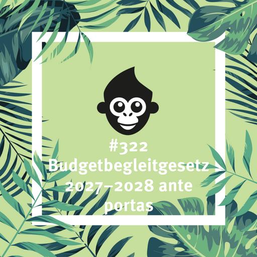 #322 Budgetbegleitgesetz 2027–2028 ante portas
