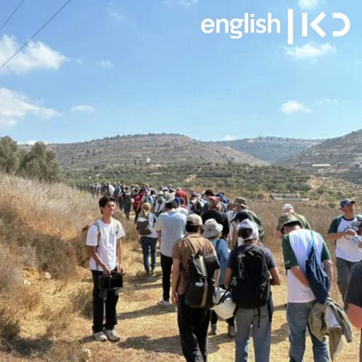 IDF detains activists aiding the Palestinian West Bank olive harvest
