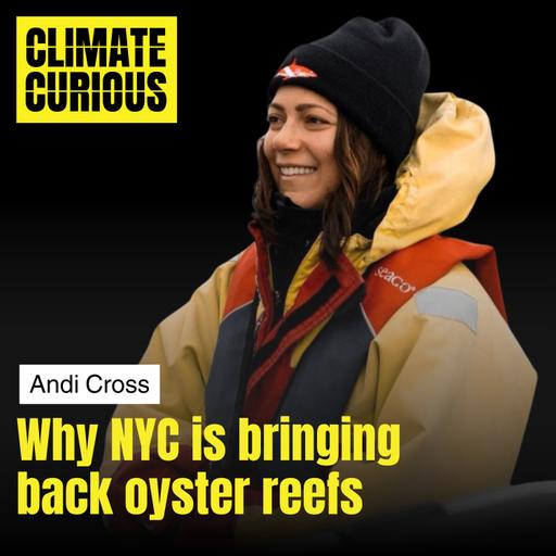 Why NYC is bringing back oyster reefs, with expedition diver Andi Cross