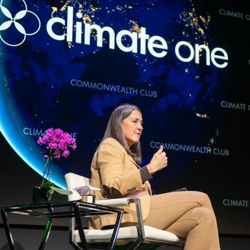 CEO of Nation’s Biggest Utility Talks Affordability, Fires, Outages, and Public Outrage