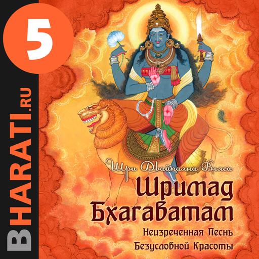 Глава 9. Юродивый Бхарата