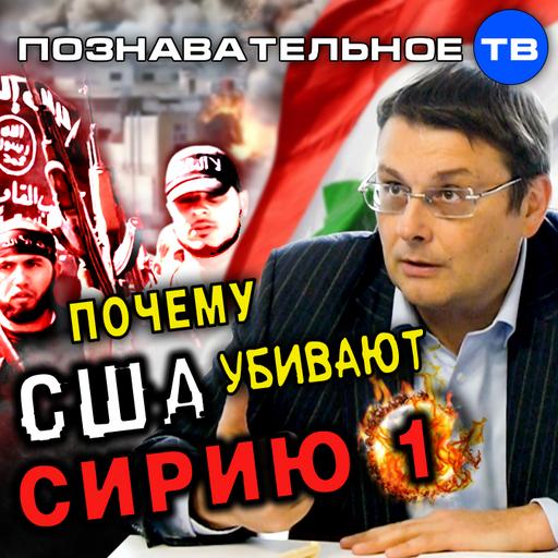 Почему США убивают Сирию 1 (Познавательное ТВ, Евгений Фёдоров)